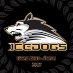 Casselman-Embrun Ice Dogs logo