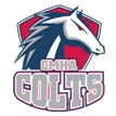 Cornwall Minor Hockey Association logo
